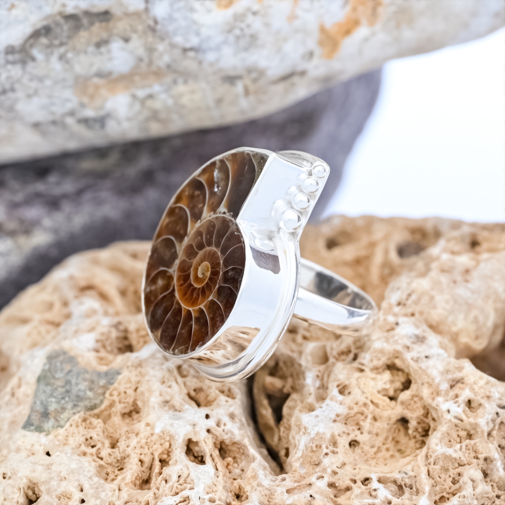 Natural Ammonite Fossil Conch Sterling Silver Rings Jewellery