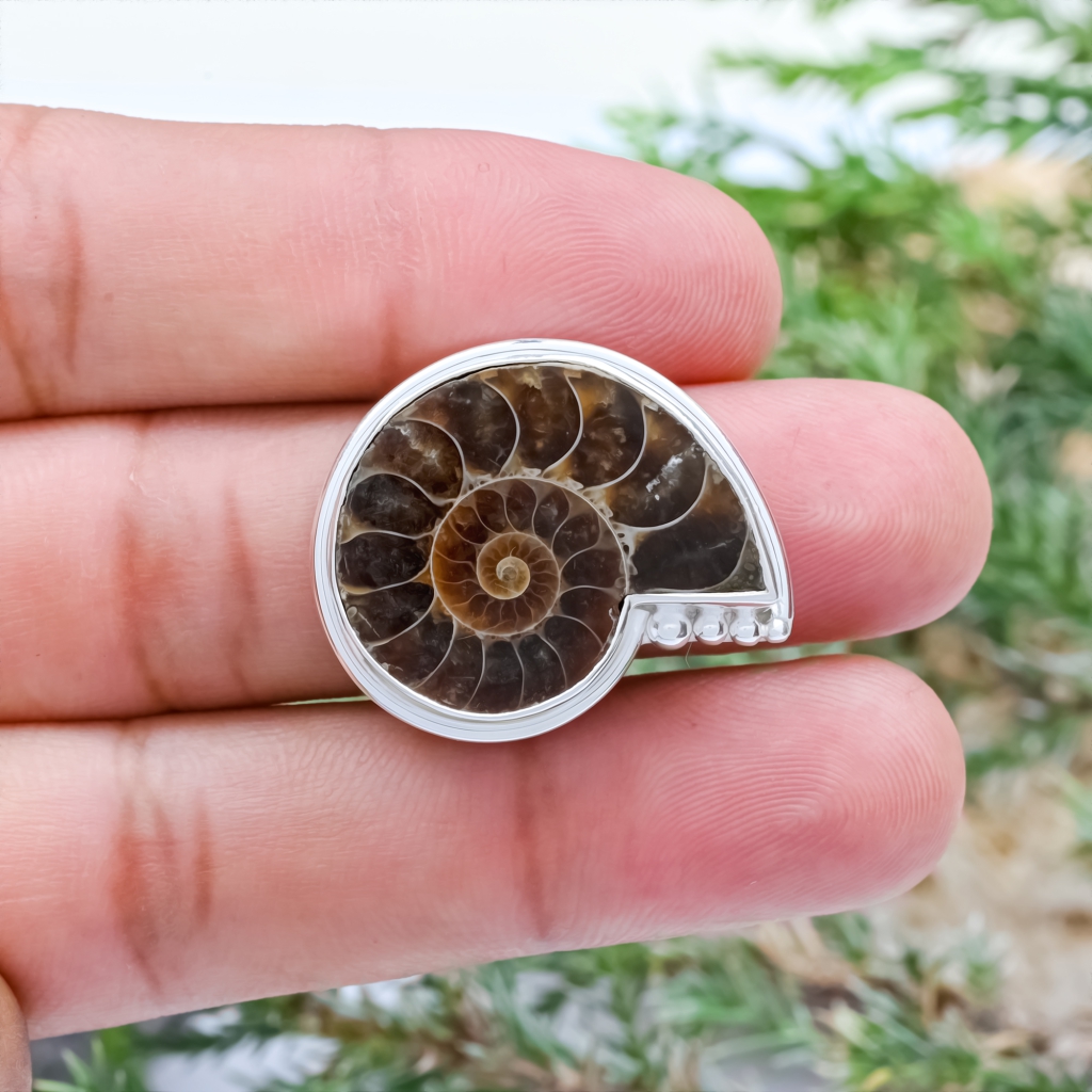 Natural Ammonite Fossil Conch Sterling Silver Rings Jewellery