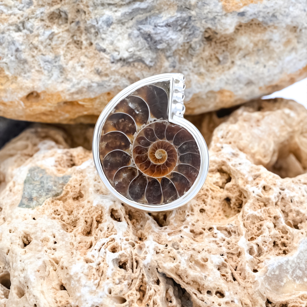Natural Ammonite Fossil Conch Sterling Silver Rings Jewellery