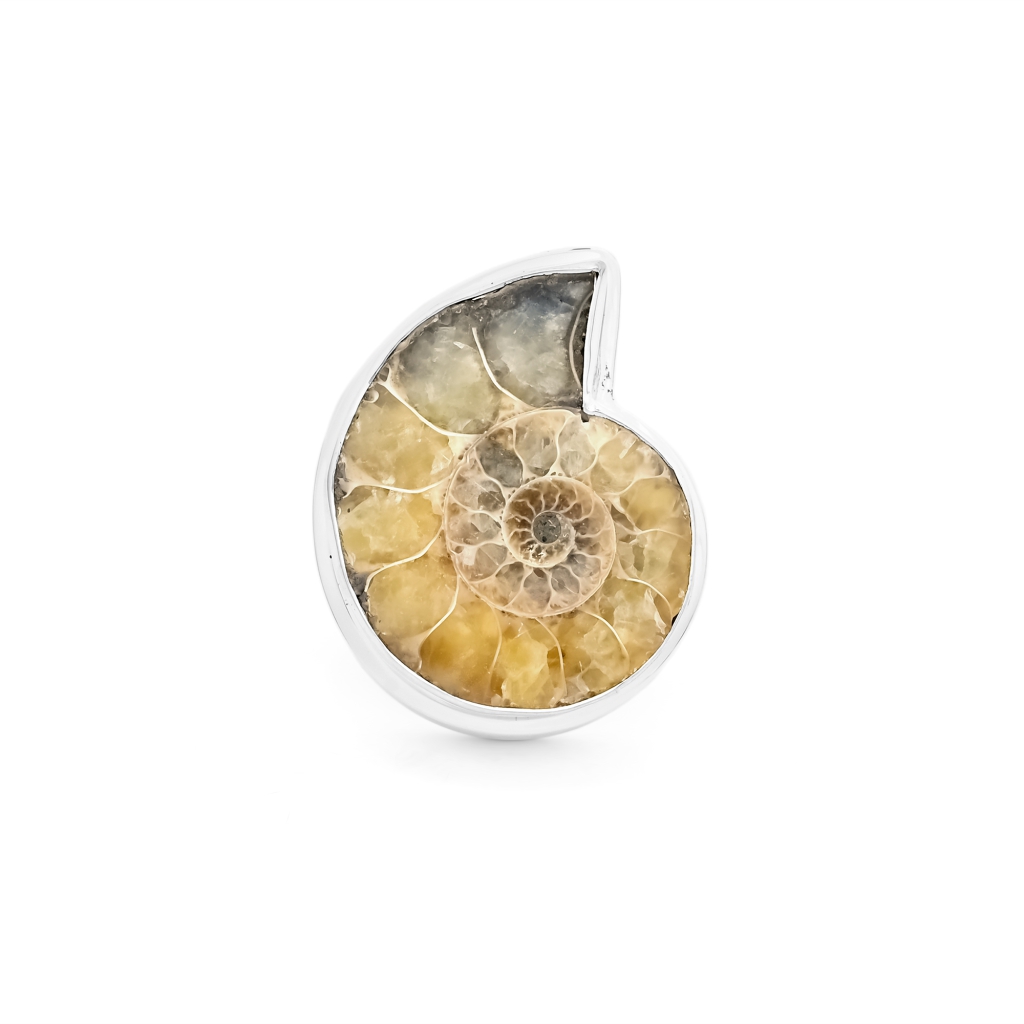 Natural Ammonite Fossil Conch Sterling Silver Rings Jewellery