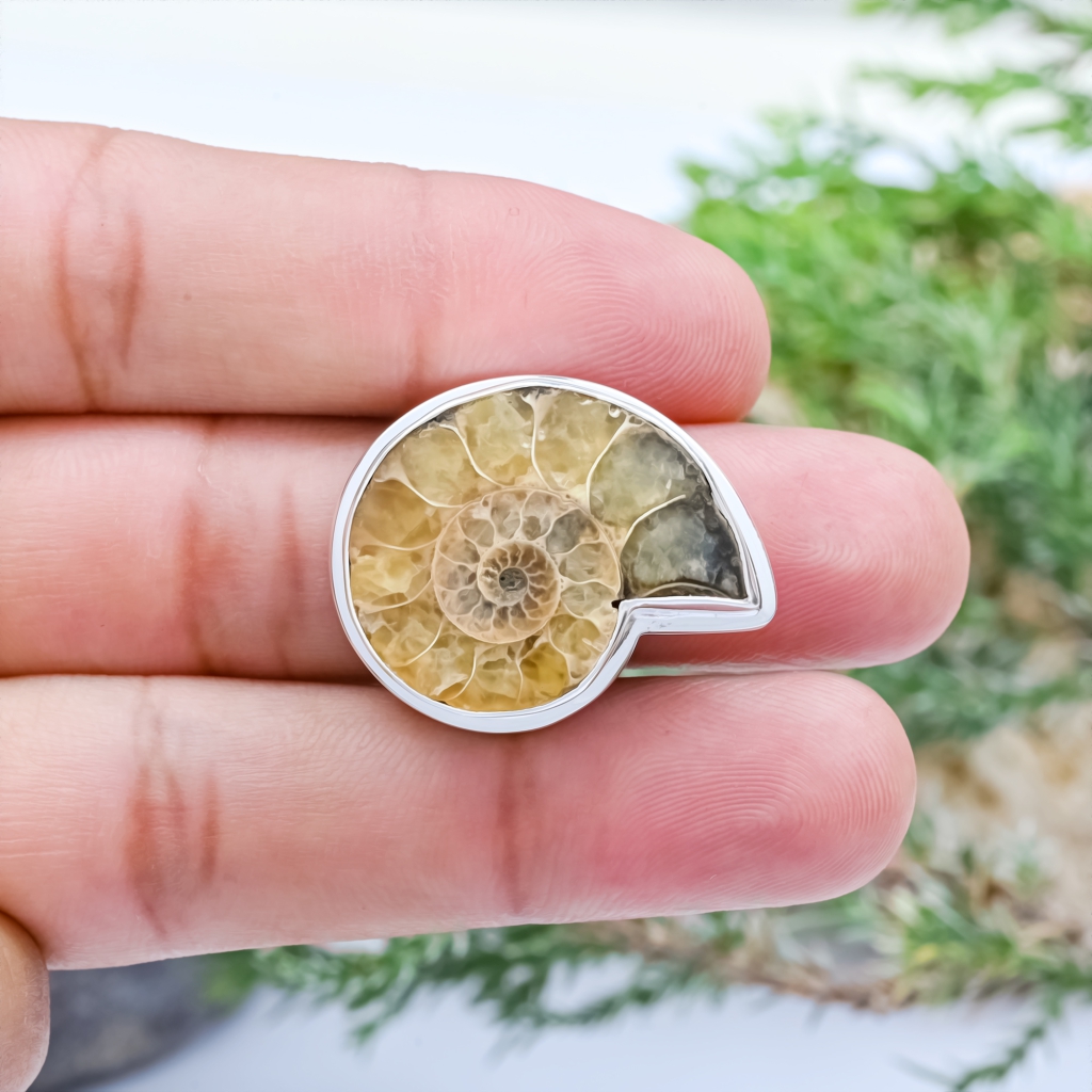 Natural Ammonite Fossil Conch Sterling Silver Rings Jewellery