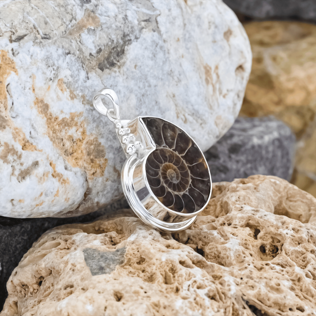 Natural Ammonite Fossil Conch Design Sterling Silver Pendant Jewellery