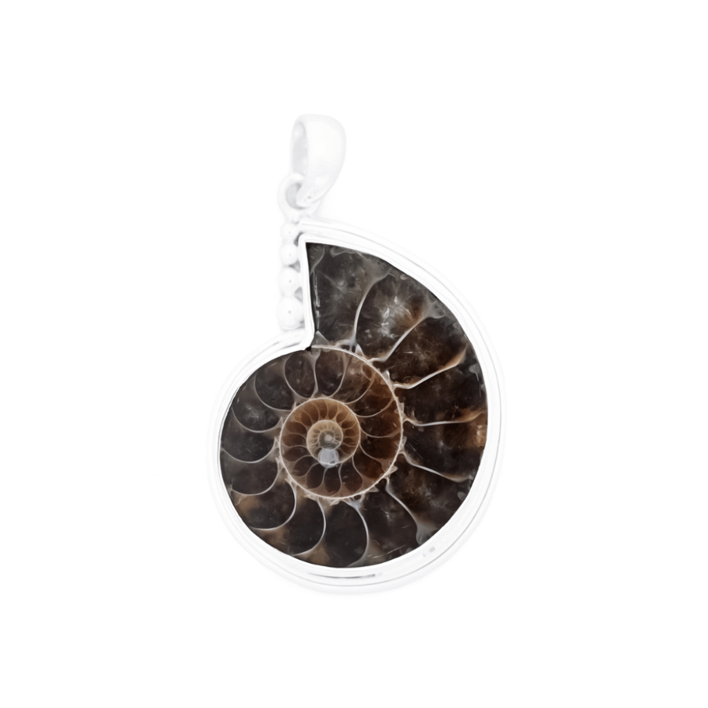 Natural Ammonite Fossil Conch Design Sterling Silver Pendant Jewellery