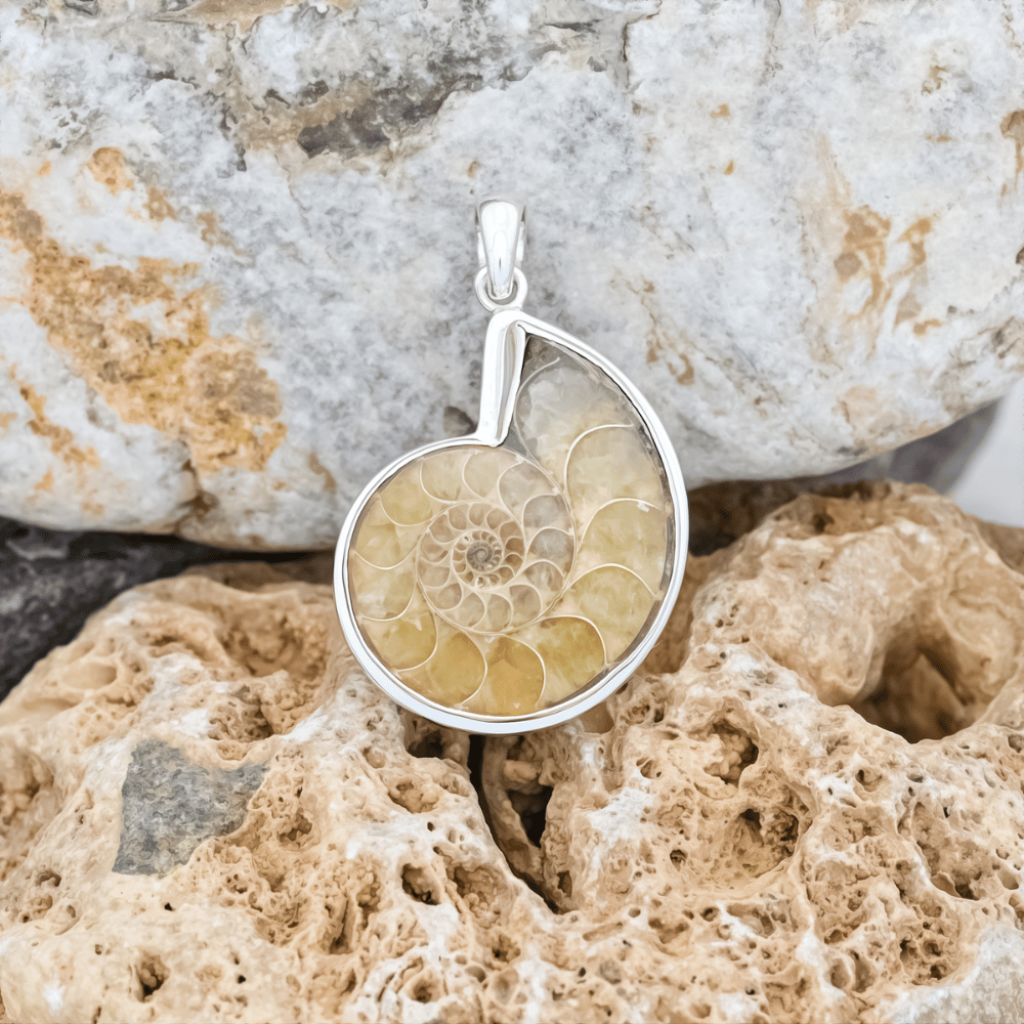 Natural Ammonite Fossil Sterling Silver Women Pendant Jewellery
