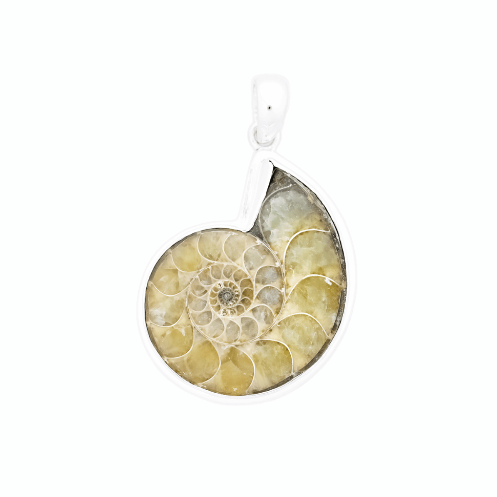 Natural Ammonite Fossil Sterling Silver Women Pendant Jewellery