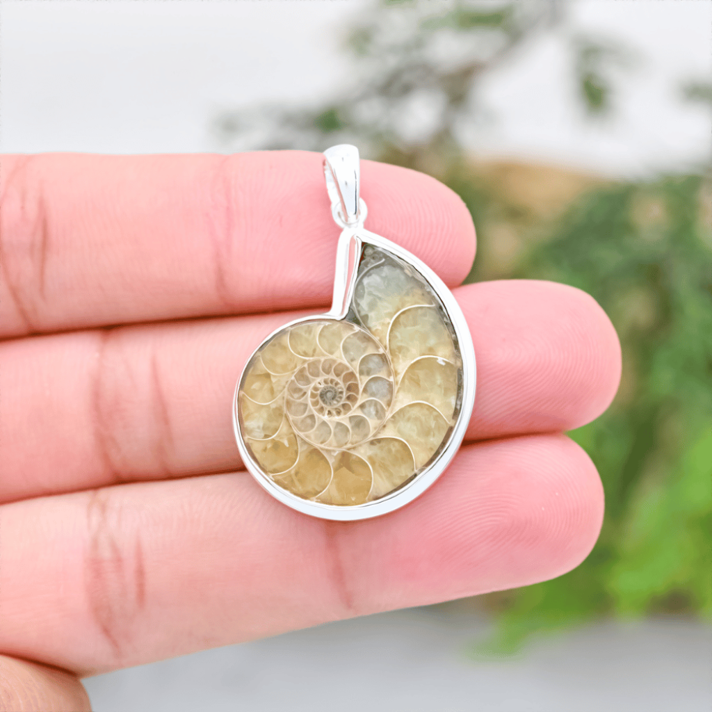 Natural Ammonite Fossil Sterling Silver Women Pendant Jewellery