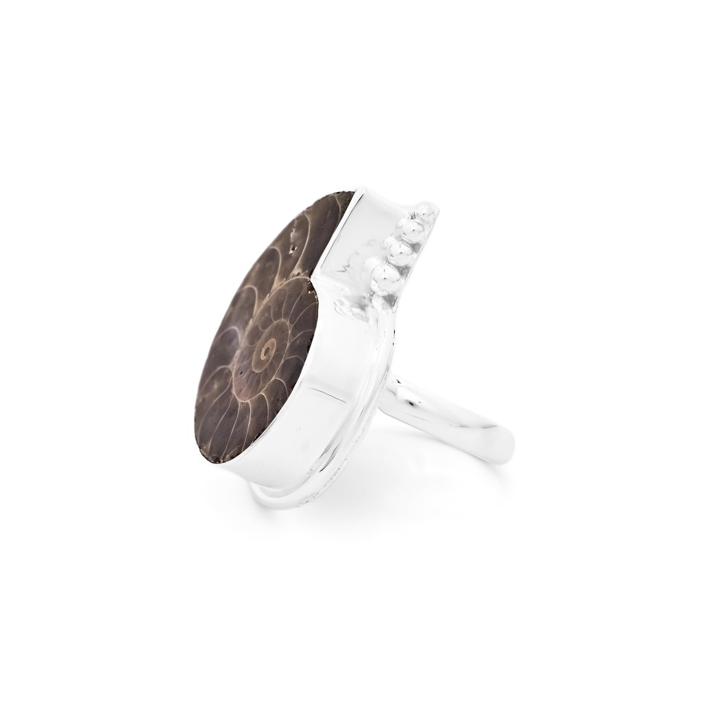 Natural Ammonite Fossil Sterling Silver Rings Jewellery